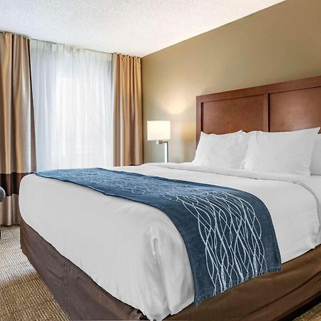 Comfort Inn & Suites Dimondale - Lansing Екстер'єр фото