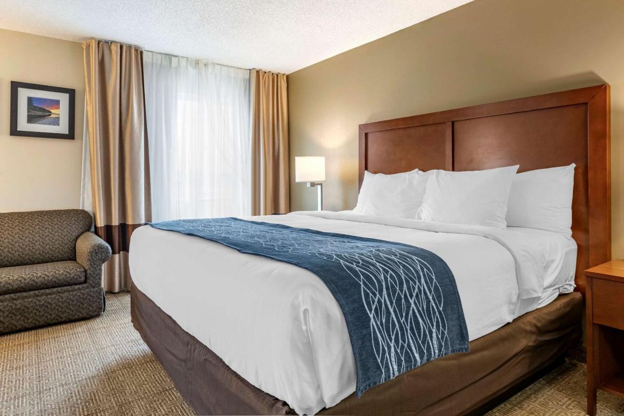 Comfort Inn & Suites Dimondale - Lansing Екстер'єр фото