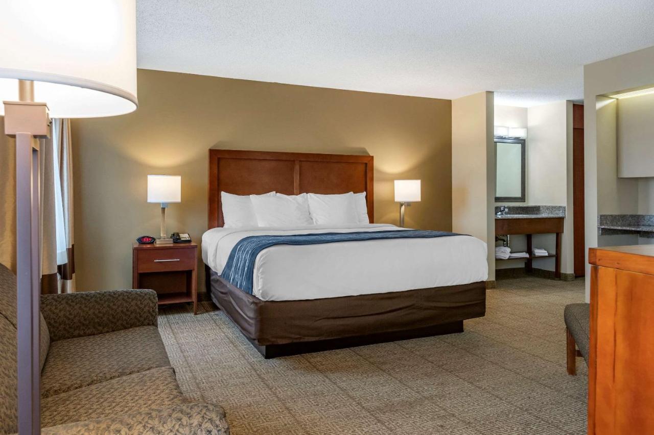 Comfort Inn & Suites Dimondale - Lansing Екстер'єр фото
