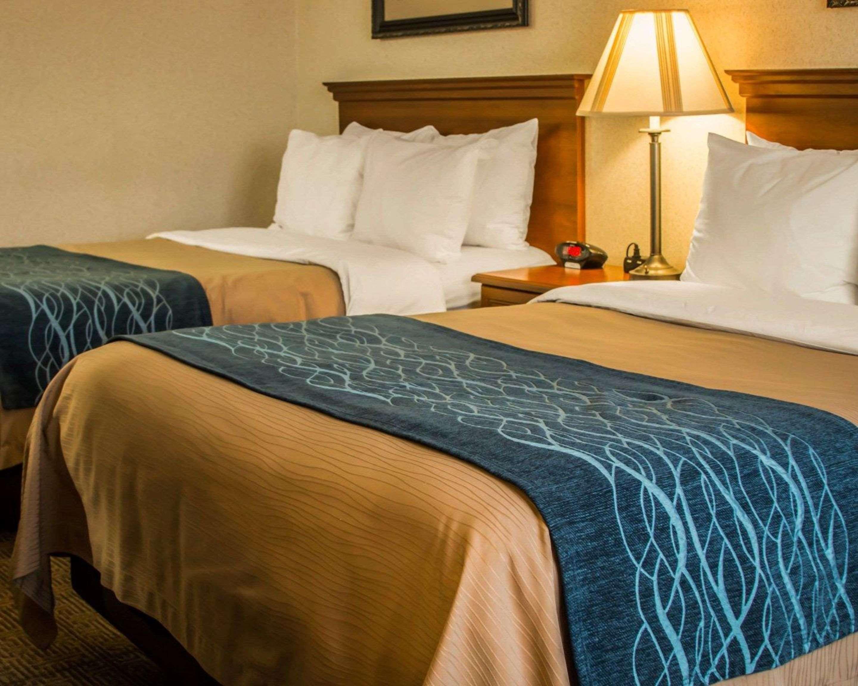 Comfort Inn & Suites Dimondale - Lansing Екстер'єр фото