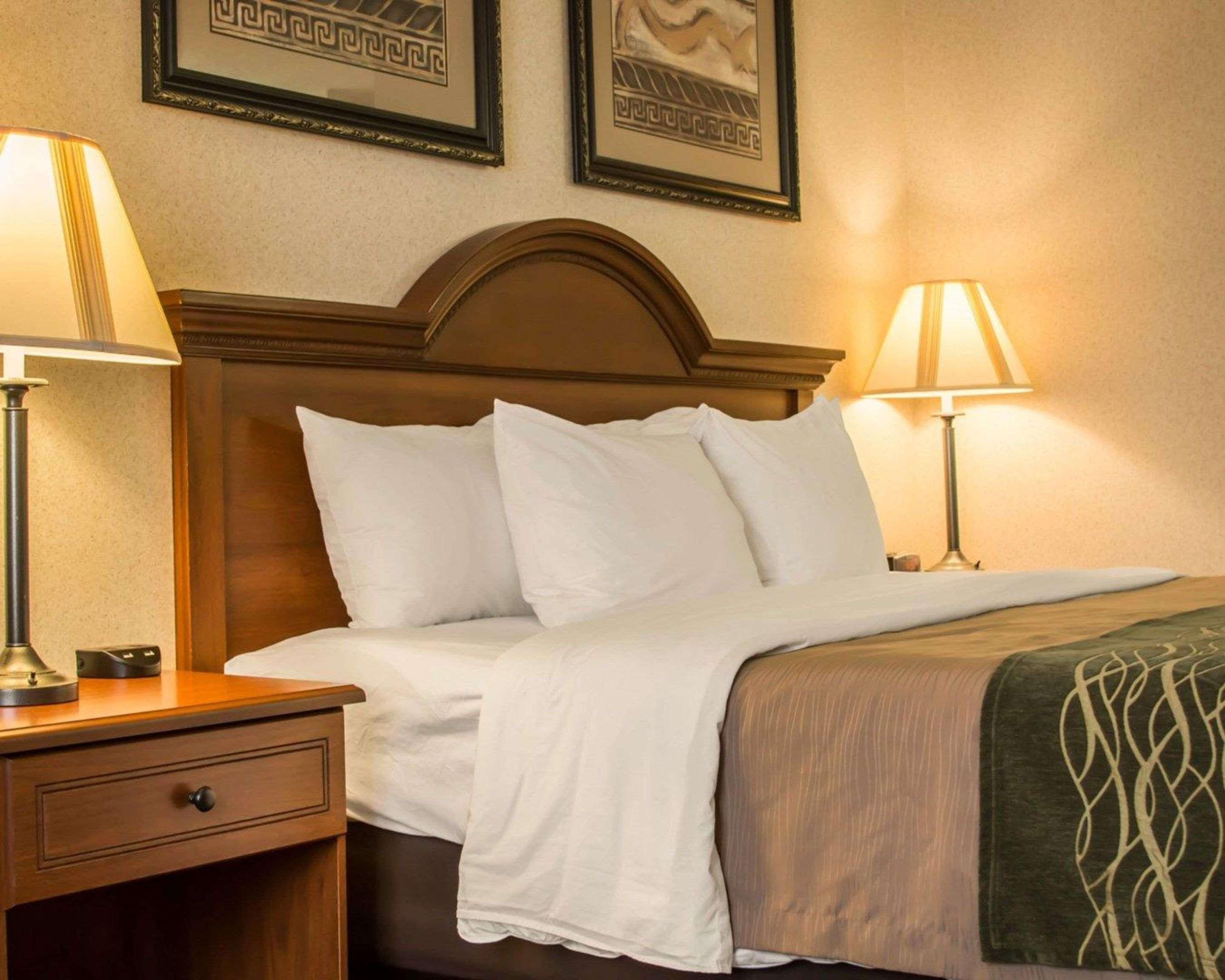 Comfort Inn & Suites Dimondale - Lansing Екстер'єр фото