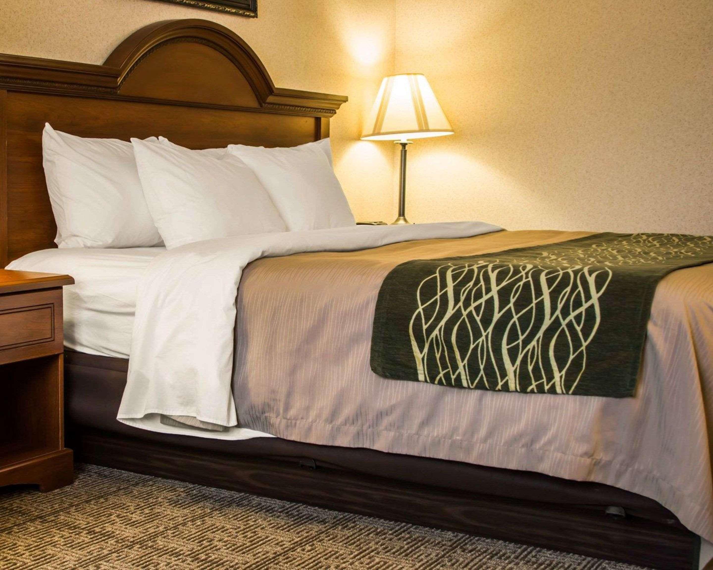 Comfort Inn & Suites Dimondale - Lansing Екстер'єр фото