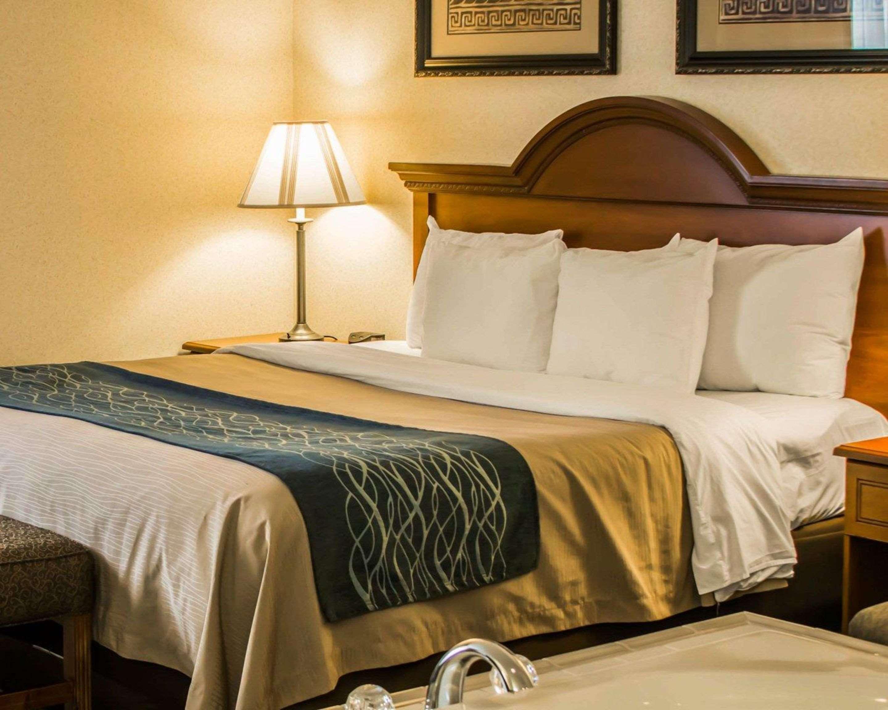 Comfort Inn & Suites Dimondale - Lansing Екстер'єр фото